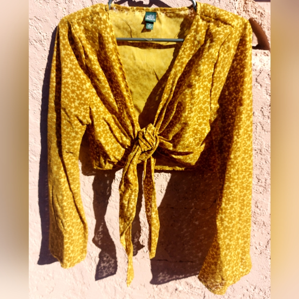 Wild Fable velvet wrap tie crop top